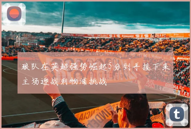 狼队在英超强势崛起5分到手接下来主场迎战利物浦挑战